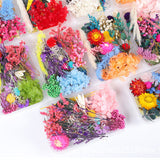 Dried Flower DIY Accessories Set