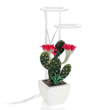 LED Plant Grow Light 5 Dimmable Modes Timing USB LED Plant Lamp for Succulents Potted Plants In Australia - Darrahopens