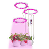 LED Plant Grow Light 5 Dimmable Modes Timing USB LED Plant Lamp for Succulents Potted Plants In Australia - Darrahopens