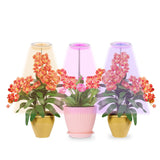 LED Plant Grow Light 5 Dimmable Modes 3 Head Timing USB Plant Lamp for Potted Plants Greenhouse Vegetables