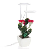 LED Plant Grow Light 5 Dimmable Modes 3 Head Timing USB Plant Lamp for Potted Plants Greenhouse Vegetables