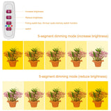 LED Plant Grow Light 5 Dimmable Modes 3 Head Timing USB Plant Lamp for Potted Plants Greenhouse Vegetables