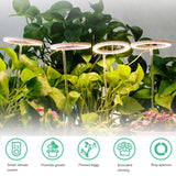 LED Plant Grow Light 5 Dimmable Modes 3 Head Timing USB Plant Lamp for Potted Plants Greenhouse Vegetables