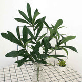 Artificial Olive Leaves Decoration Home Leaves Decoration for Wedding Garden In Australia - Darrahopens