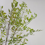 Artificial Green Plant Nandina Simulation Plant Branch Home Decoration
