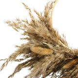 Pampas Grass Wreath Lovely Fluffy Full Wall Wreaths for Living Room Bedroom Study In Australia - Darrahopens