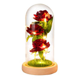 Glass Dome Rose Ornament LED Strip Light Blessing Romantic Glass Cover Artificial Flowers for Girlfriend In Australia - Darrahopens