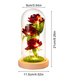 Glass Dome Rose Ornament LED Strip Light Blessing Romantic Glass Cover Artificial Flowers for Girlfriend In Australia - Darrahopens