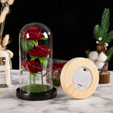 Glass Dome Rose Ornament LED Strip Light Blessing Romantic Glass Cover Artificial Flowers for Girlfriend In Australia - Darrahopens