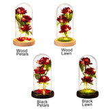 Glass Dome Rose Ornament LED Strip Light Blessing Romantic Glass Cover Artificial Flowers for Girlfriend