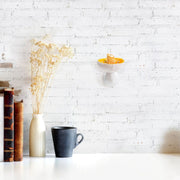 Mushroom Hanging Shelf Storage Rack