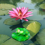 Floating Leaf Decoration Resin Fake Leaves Staue Ornament for Pool Fountain Aquarium Water In Australia - Darrahopens