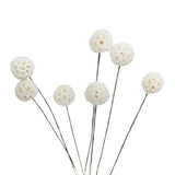 Billy Ball Flowers Dried Flowers Artificial Dried Flowers Home Garden Decoration In Australia - Darrahopens