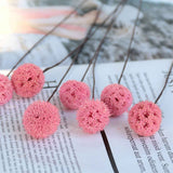 Billy Ball Flowers Dried Flowers Artificial Dried Flowers Home Garden Decoration In Australia - Darrahopens