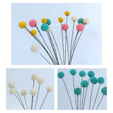 Billy Ball Flowers Dried Flowers Artificial Dried Flowers Home Garden Decoration In Australia - Darrahopens