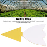 50Pcs Fungus Gnat Killer Effectively Catch Insects Strong Stickiness Easy to Use Insect Catching Board for GreenhouseTulips