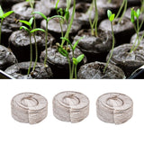 50Pcs Compressed Peat Block Cultivation and Nursery Nutrient Block Soil for Plant Flower VegetablesΦ35 X 10 mm