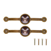2 Pcs Zinc Alloy Antique Copper Handle European Modern Pastoral Color Acrylic Handle for Cabinet DrawerBrown In Australia - Darrahopens