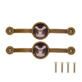 2 Pcs Zinc Alloy Antique Copper Handle European Modern Pastoral Color Acrylic Handle for Cabinet DrawerBrown In Australia - Darrahopens