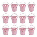 12pcs Mini Metal Bucket Hollow Heart Shaped Bucket with Handle for Candies Outdoor Flower Cosmetics In Australia - Darrahopens