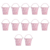 12pcs Mini Metal Bucket Hollow Heart Shaped Bucket with Handle for Candies Outdoor Flower Cosmetics In Australia - Darrahopens