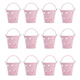 12pcs Mini Metal Bucket Hollow Heart Shaped Bucket with Handle for Candies Outdoor Flower Cosmetics In Australia - Darrahopens
