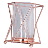 Plant Vase with Wrought Iron Flower Stand Transparent Glass Flower Pot Hydroponic Vase for Living Room