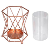 Plant Vase with Wrought Iron Flower Stand Transparent Glass Flower Pot Hydroponic Vase for Living Room