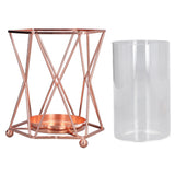 Plant Vase with Wrought Iron Flower Stand Transparent Glass Flower Pot Hydroponic Vase for Living Room