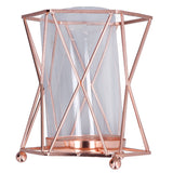 Plant Vase with Wrought Iron Flower Stand Transparent Glass Flower Pot Hydroponic Vase for Living Room