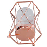 Plant Vase with Wrought Iron Flower Stand Transparent Glass Flower Pot Hydroponic Vase for Living Room