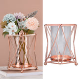 Plant Vase with Wrought Iron Flower Stand Transparent Glass Flower Pot Hydroponic Vase for Living Room