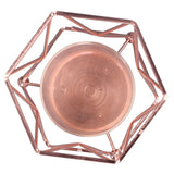 Plant Vase with Wrought Iron Flower Stand Transparent Glass Flower Pot Hydroponic Vase for Living Room