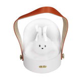 Portable Music Night Light Bedroom Desktop Cute Cartoon Lamp Three Levels Brightness Adjustment USB Rechargeable Lamp In Australia - Darrahopens