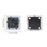 3D Stereo Wall Hanging Simulation Plant Photo Frame Flower Frames Decoration 50A