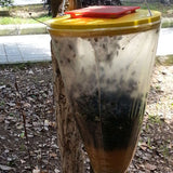Fly Trap Outdoors Fly Catcher Hanging Fly Bags for Outdoor Barns Stables and Yards