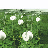 10Pcs Tomato Trellis Roller Hooks Tomato Support Hooks Plant Roller Hook with 15M String Plant Cages Supports Roller Hook for Plant Fruit In Australia - Darrahopens
