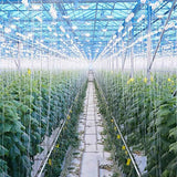 10Pcs Tomato Trellis Roller Hooks Tomato Support Hooks Plant Roller Hook with 15M String Plant Cages Supports Roller Hook for Plant Fruit In Australia - Darrahopens