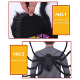 Halloween Giant Spider Backpack Spider Halloween Costume Indoor Outdoor Yard Party Halloween Decor