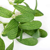 Artificial Mistletoe Leaves Christmas Decoration In Australia - Darrahopens