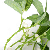 Artificial Mistletoe Leaves Christmas Decoration In Australia - Darrahopens