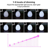 LED Egg Lamp Sturdy Waterproof Easy to Use Remote Control LED Light for Home Party