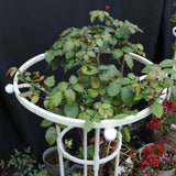 Assembled Umbrella Flower Stand Climbing Vine Plant Easy to Install Garden Plant Support In Australia - Darrahopens