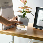 Water Absorption Planter Indoor Self Absorbed Watering Pot Flower Container for Office Home Semitransparent In Australia - Darrahopens