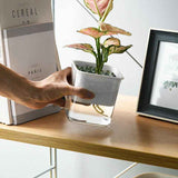 Water Absorption Planter Indoor Self Absorbed Watering Pot Flower Container for Office Home Semitransparent In Australia - Darrahopens