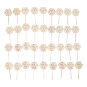 36pcs Watch Me Grow Succulent Tags Safe Eco Friendly Wooden Hexagonal Succulent Tags for Flower Pot Decoration Plant In Australia - Darrahopens