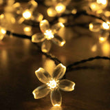 Sakura String Lights Solar Energy LED Waterproof Decoration Light for Outdoor Courtyard Warm White 5 Meters 20 Lights In Australia - Darrahopens