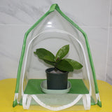 House Shaped Insect Cage Exquisite Ornamental Gardening Cage for Science Education Experiment