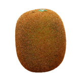 Artificial Fruit Simulation Model Foam Fake Fruit Kindergarten Teaching Aids Decorative Props Kiwi Fruit In Australia - Darrahopens