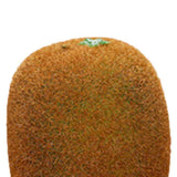 Artificial Fruit Simulation Model Foam Fake Fruit Kindergarten Teaching Aids Decorative Props Kiwi Fruit In Australia - Darrahopens